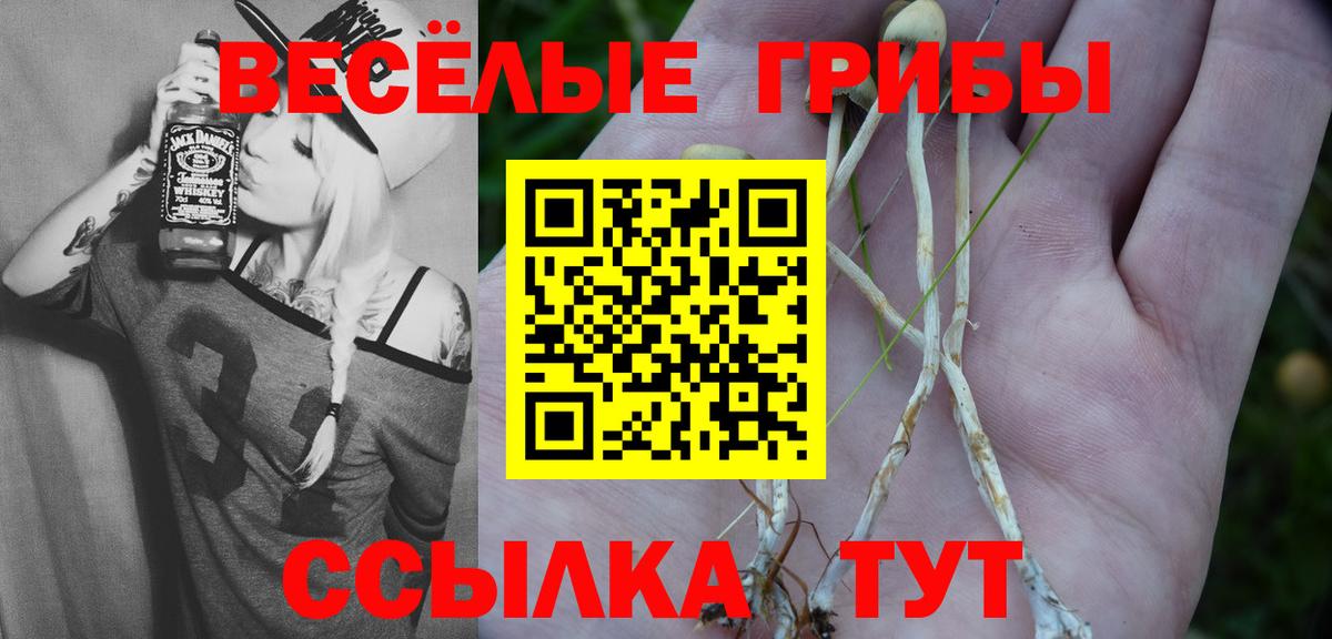 Галлюциногенные грибы Psilocybine cubensis Гусев